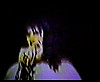 31March74_02.jpg